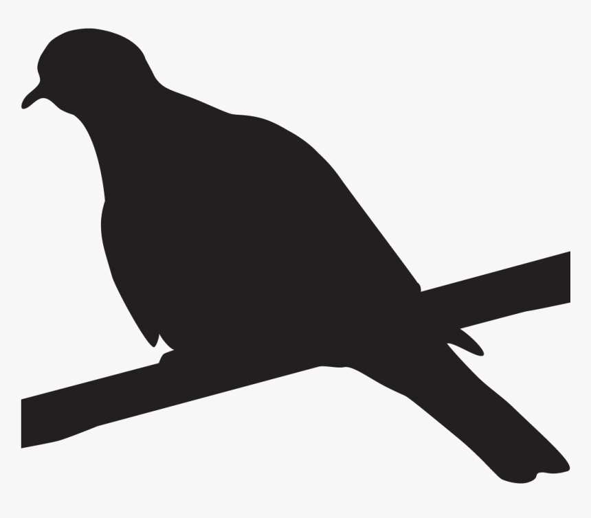 Black White Wing Dove, HD Png Download