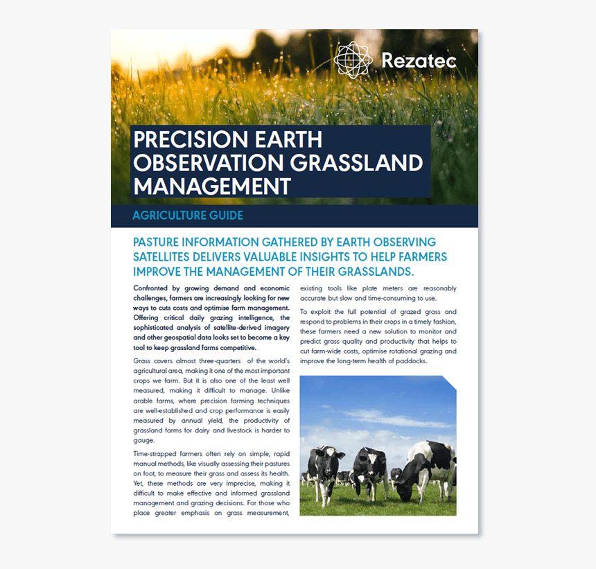 Grass, HD Png Download