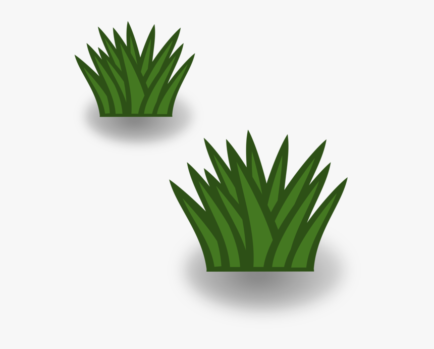 Plant,leaf,aloe - Bush Clipart, HD Png Download