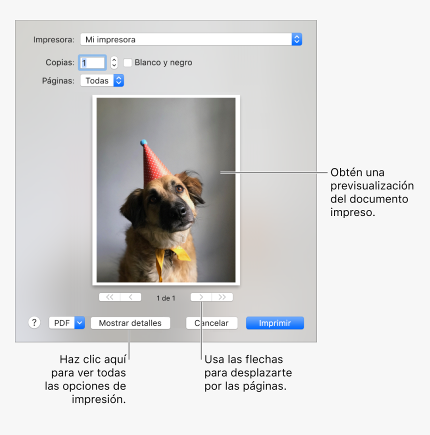 Dialog Box, HD Png Download