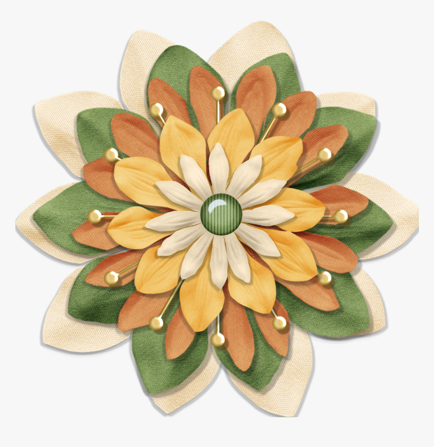 African Daisy, HD Png Download