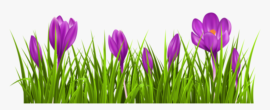 Grass Png Spring - Je Me Suis Fait Tout À Tous, Transparent Png