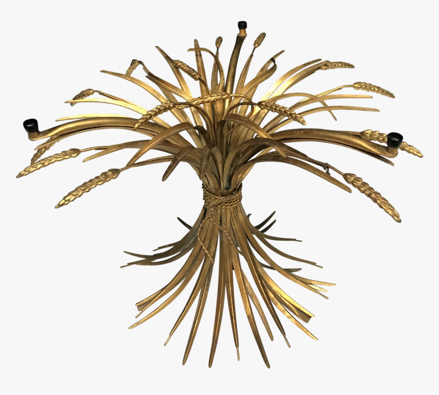 Lilypad Drawing Grassland Plant - Pond Pine, HD Png Download