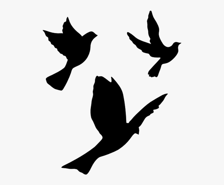 Pigeons And Doves English Carrier Pigeon Homing Pigeon - Flying Dove Silhouette Png, Transparent Png