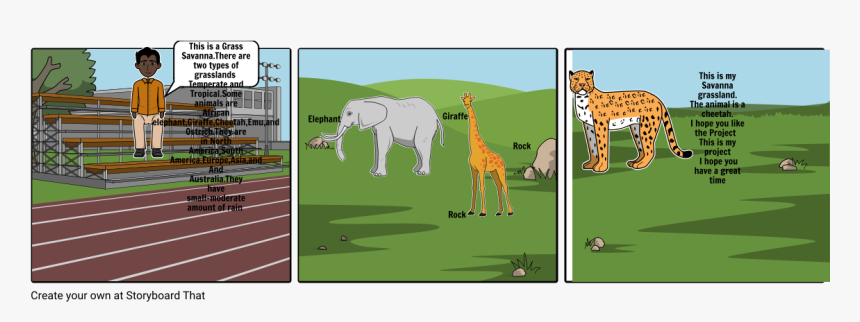 Giraffe, HD Png Download