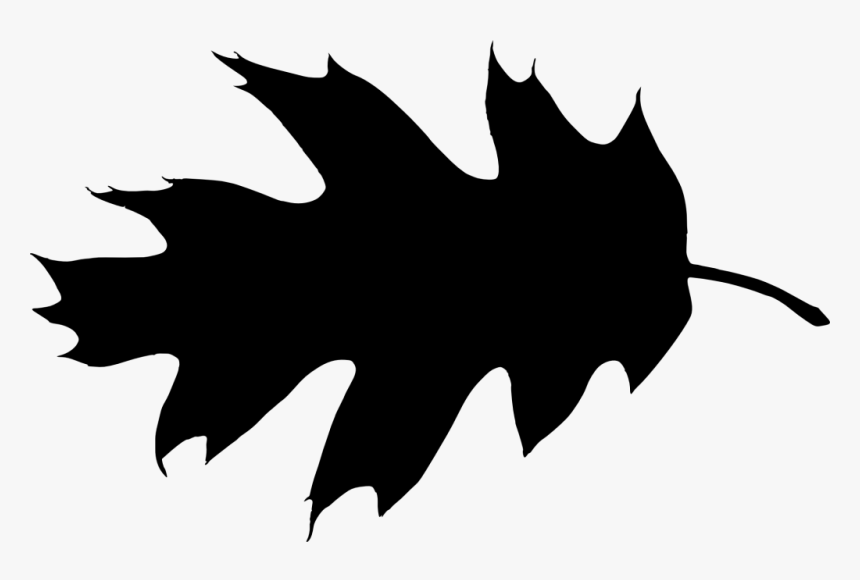 Maple Leaf Silhouette Clip Art - Leaf Silhouette, HD Png Download