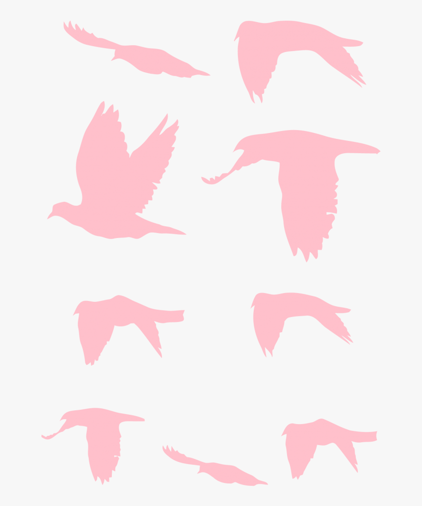 Flock, HD Png Download