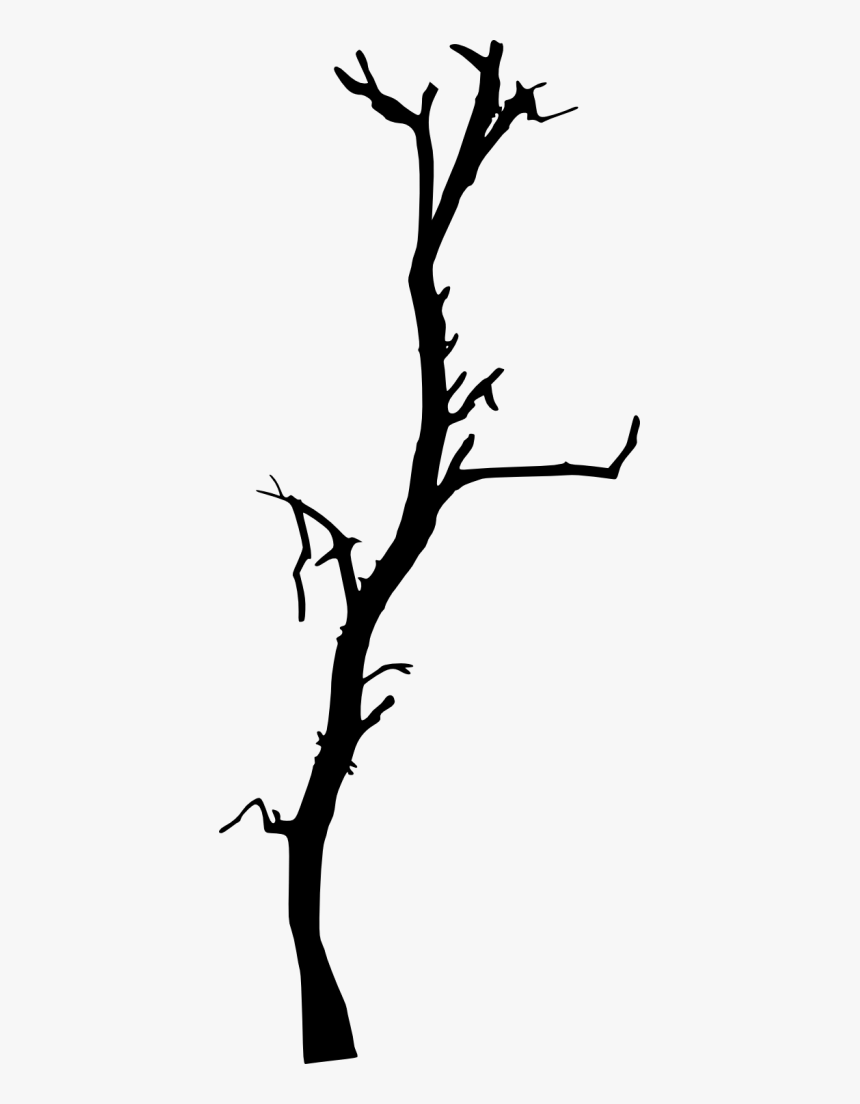 Dead Tree Branch Png, Transparent Png