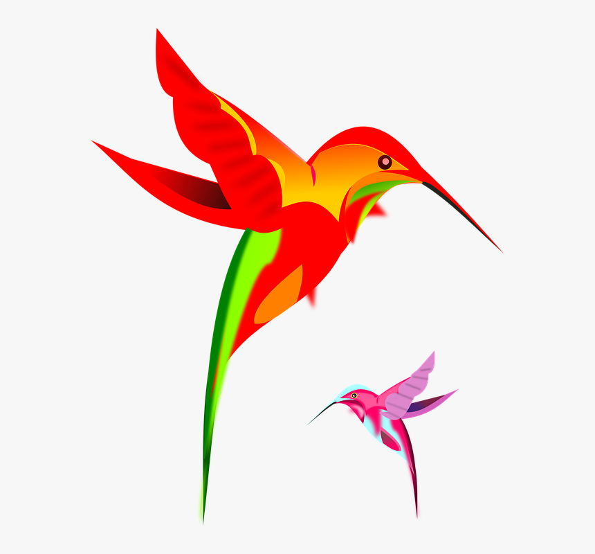 Google Hummingbird Png, Transparent Png