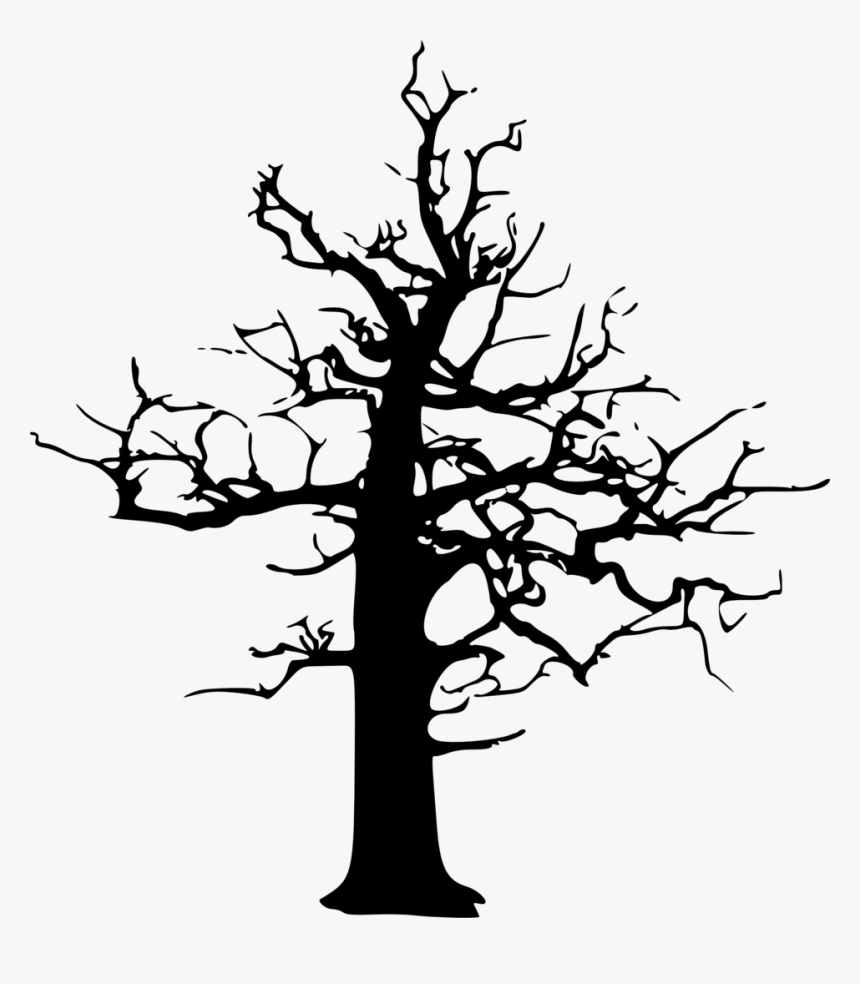 Plant,flower,leaf - Dead Tree Vector, HD Png Download