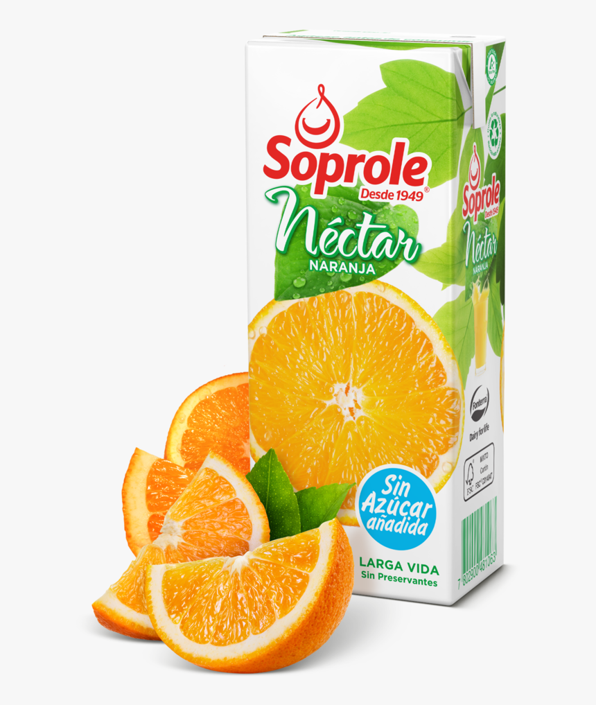 Jugo Soprole 200 Ml, HD Png Download