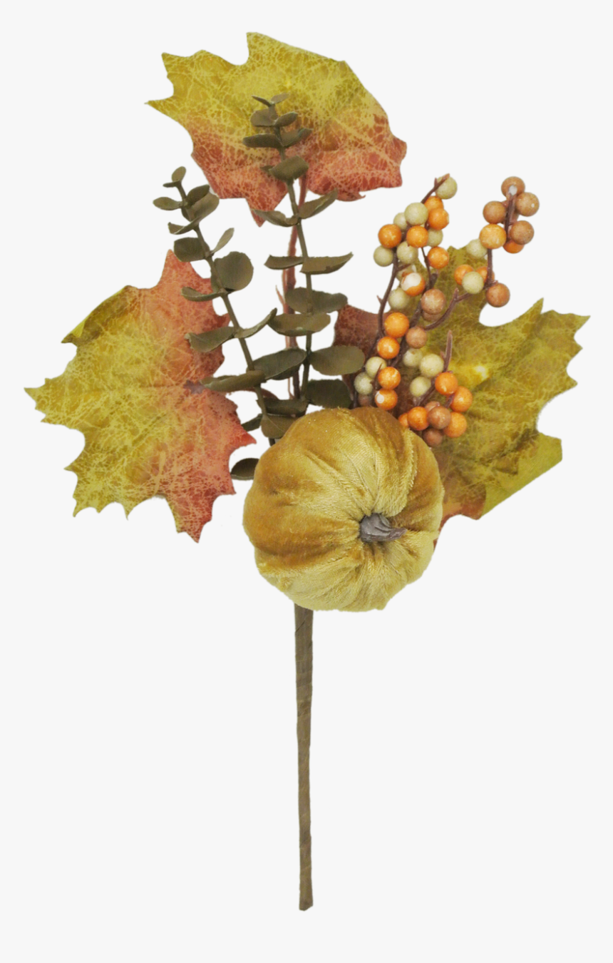 14 - Autumn, HD Png Download