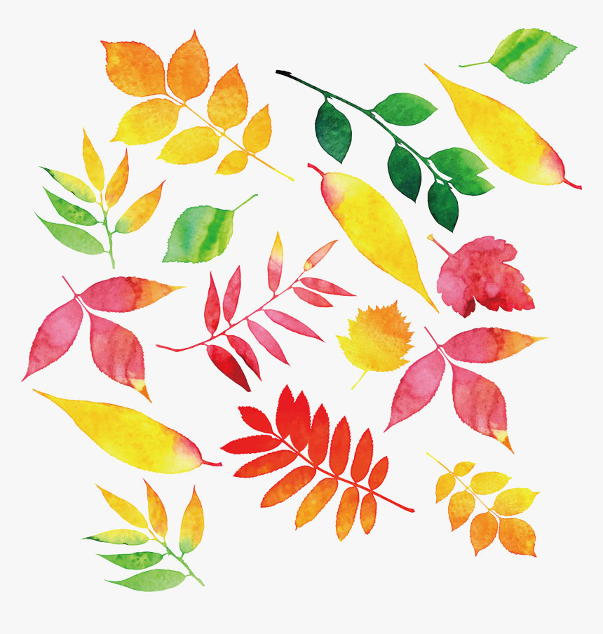 Autumn Leaf Color - Dekoracje Jesienne Sali Przedszkolnej, HD Png Download