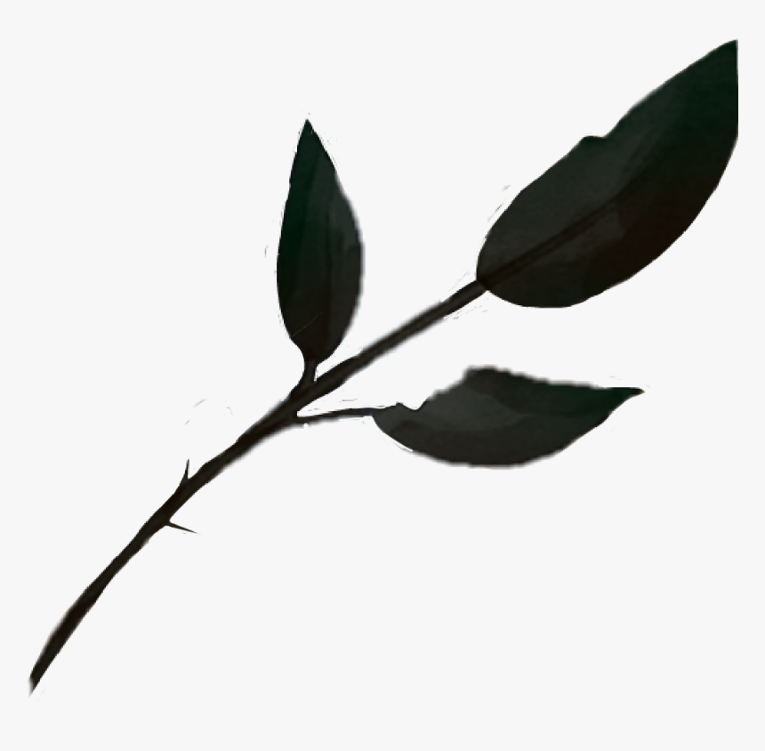#dead Leaves - Flower, HD Png Download