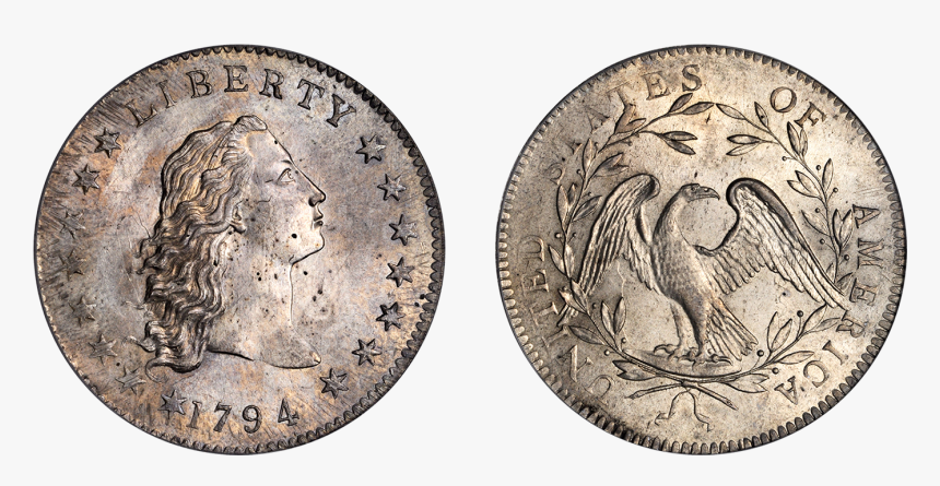 Hair Following Dollar 1794, HD Png Download