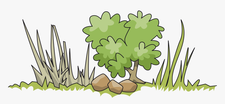 Border And Big Image - Shrub Clipart, HD Png Download