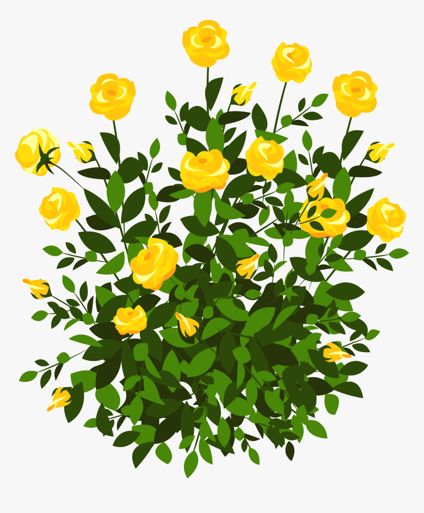 Yellow Rose Picture Gallery - Flowers Bush Clipart Png, Transparent Png