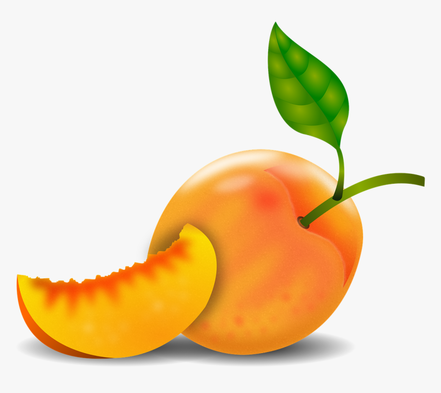 Durazno Dibujo Png, Transparent Png