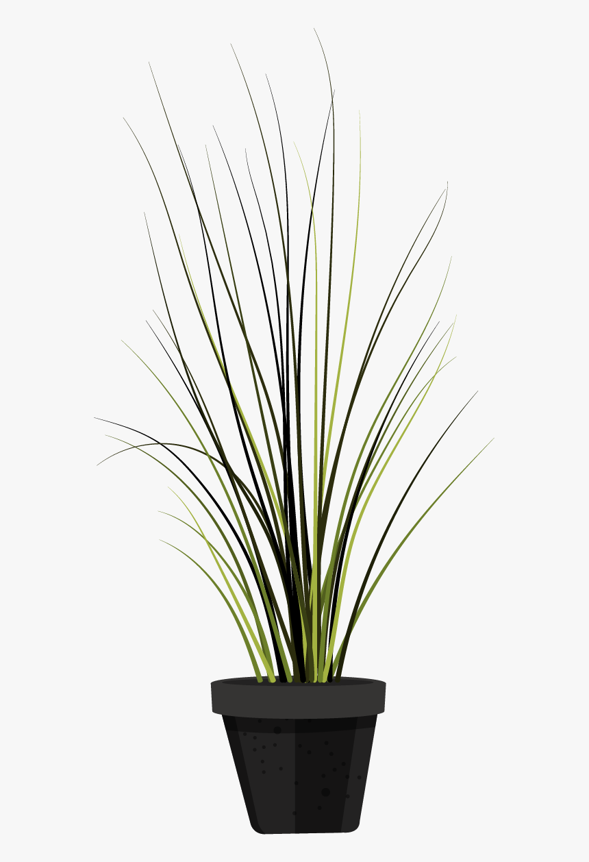Houseplant, HD Png Download