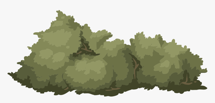 Transparent Shrub Clipart, HD Png Download