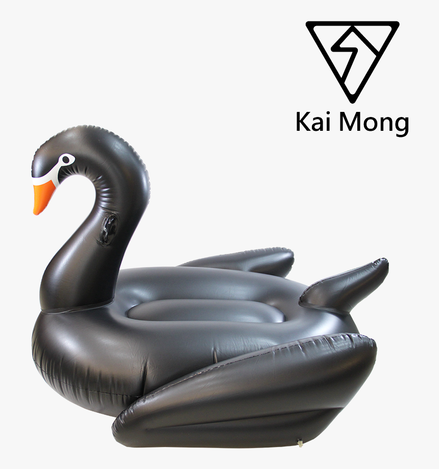 Transparent Pool Float Png - Black Swan, Png Download , Transparent Png