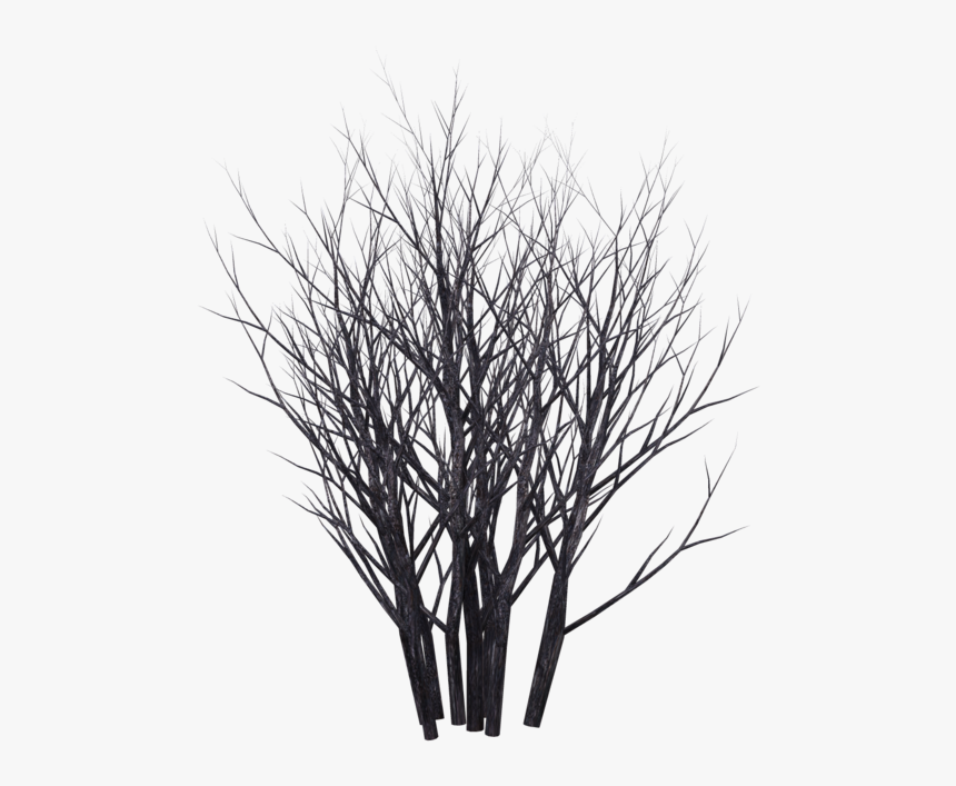 Shrubs Png Black And White - Monochrome, Transparent Png