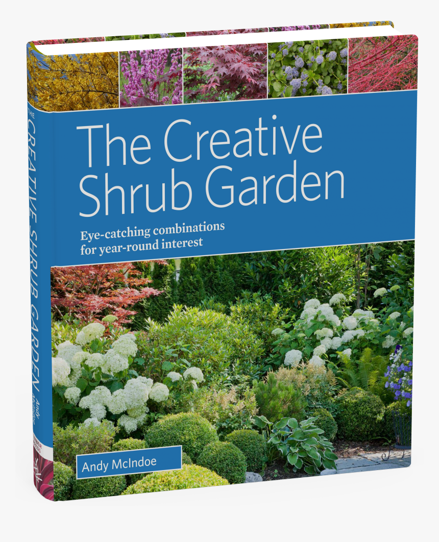 Cover, HD Png Download