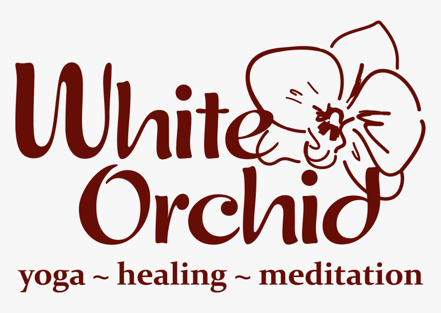 Transparent White Orchid Png - White Orchid, Png Download