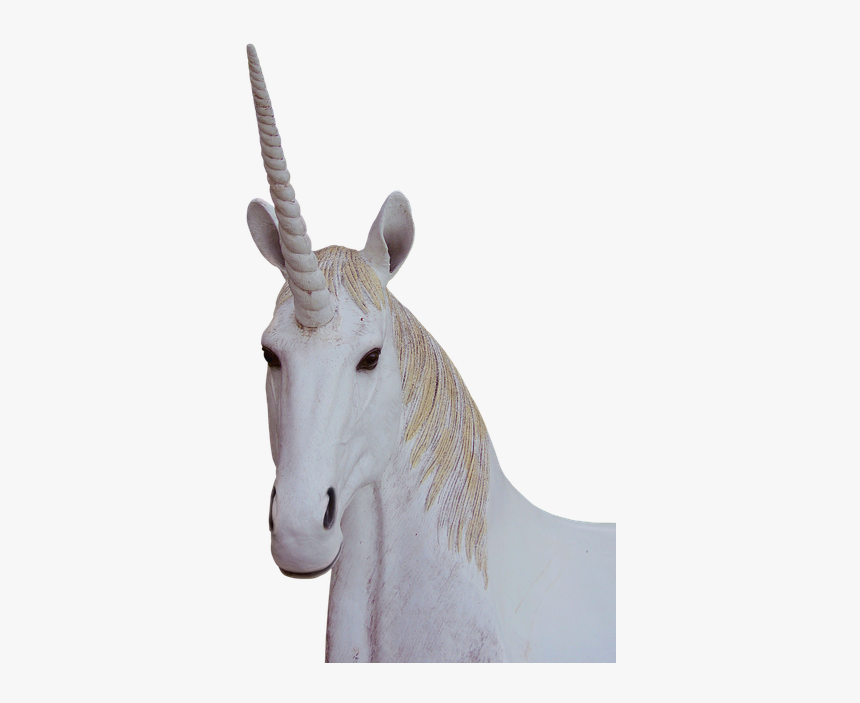 Png, Unicorn, Animal Magic, Fantasy - Unicorn Png, Transparent Png