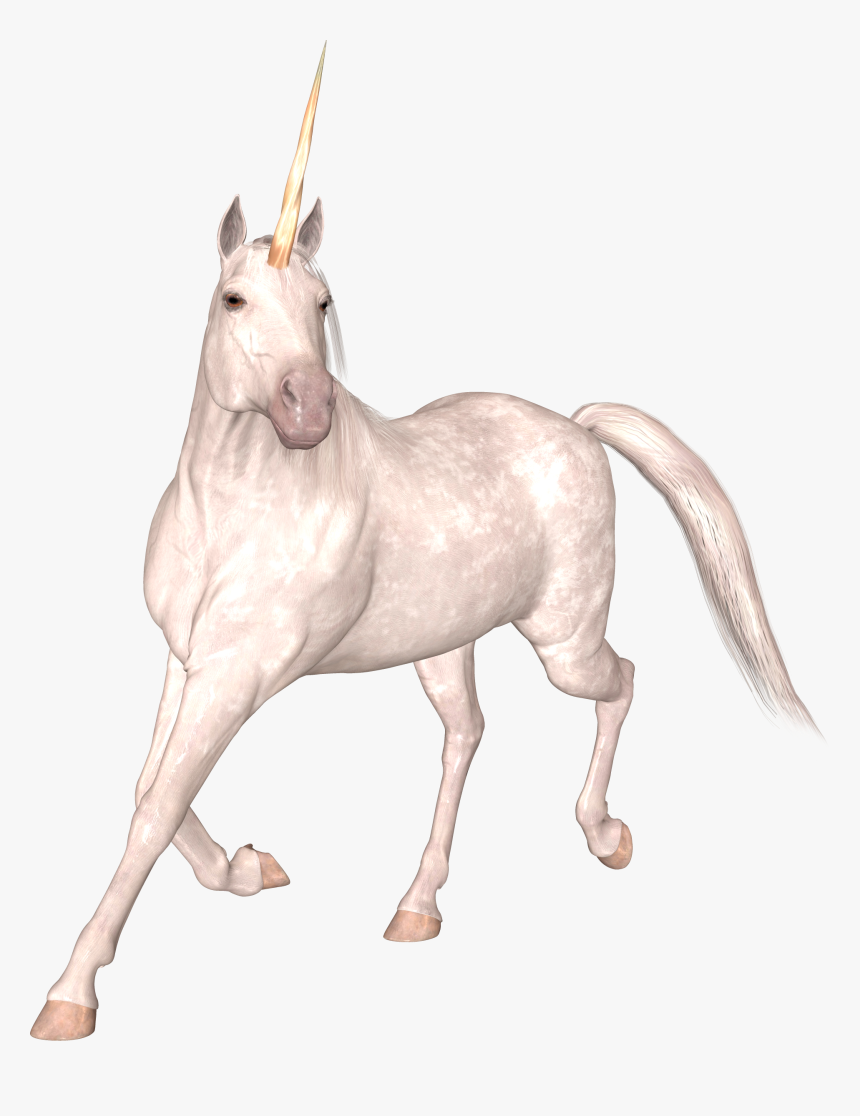 Free Download Of Unicorn Transparent Png File - Единорог Пнг, Png Download