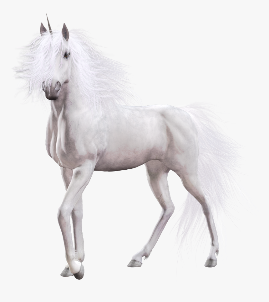 Unicorn Png - Realistic Unicorn White Background, Transparent Png