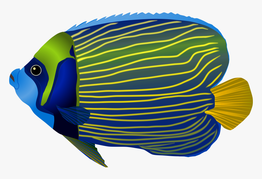 Papua New Guinea Underwater - Sea Fish Png Transparent Background, Png Download