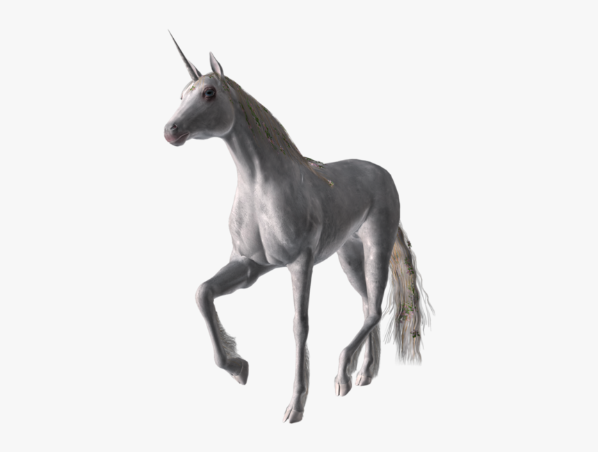 Unicorn, HD Png Download