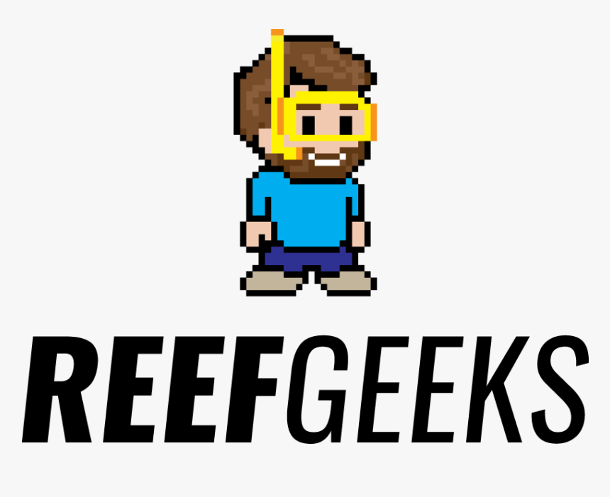 Coral Reef Cartoon Png - Cartoon, Transparent Png