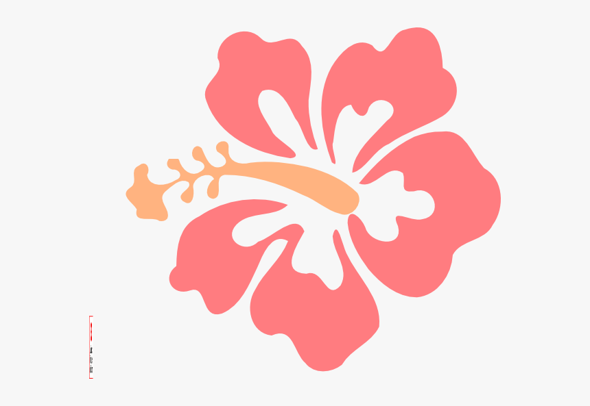 Suggestions Images Of Coral Hd Photo Clipart - Hibiscus Flower Clipart, HD Png Download