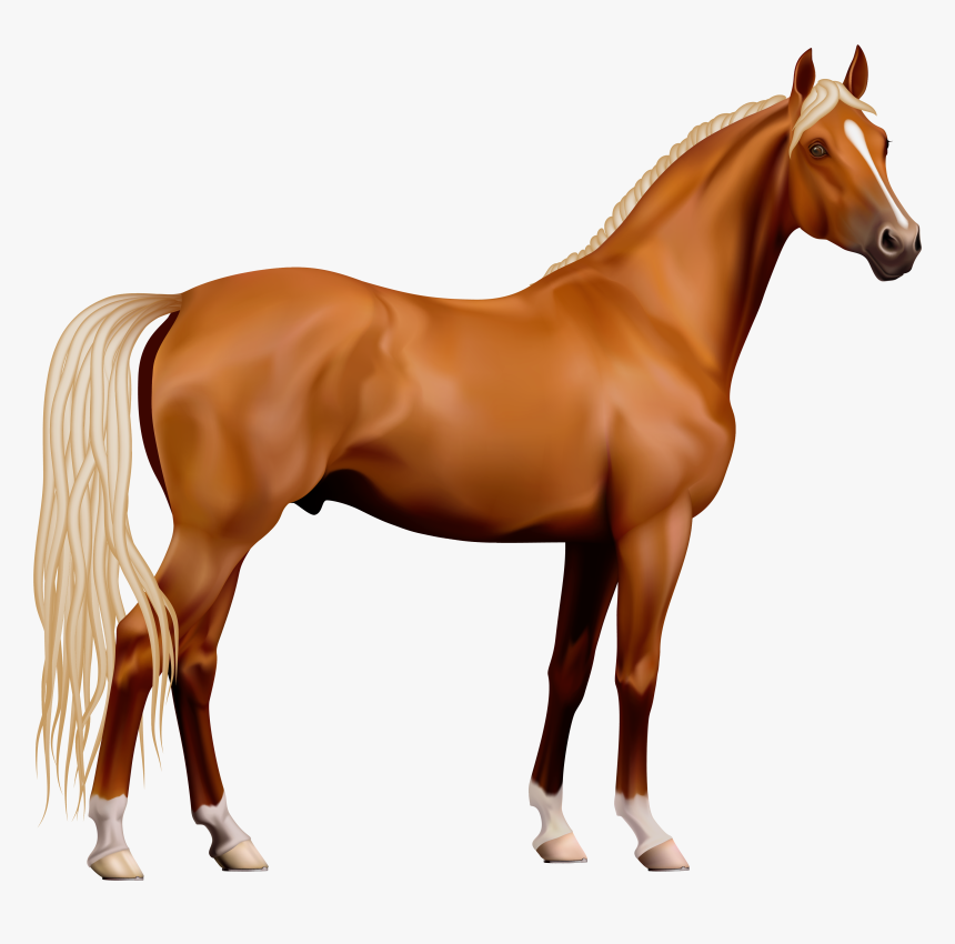 Transparent Horse Png Clipart, Png Download