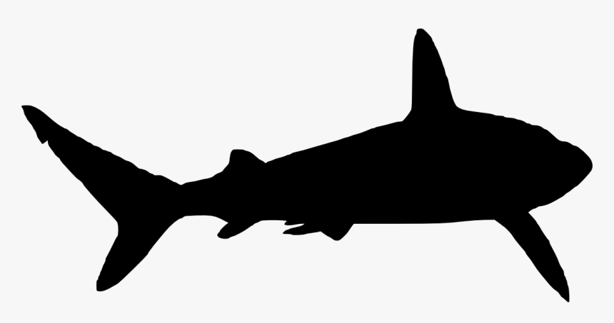14 Cliparts For Free - Great Shark Silhouette Png, Transparent Png