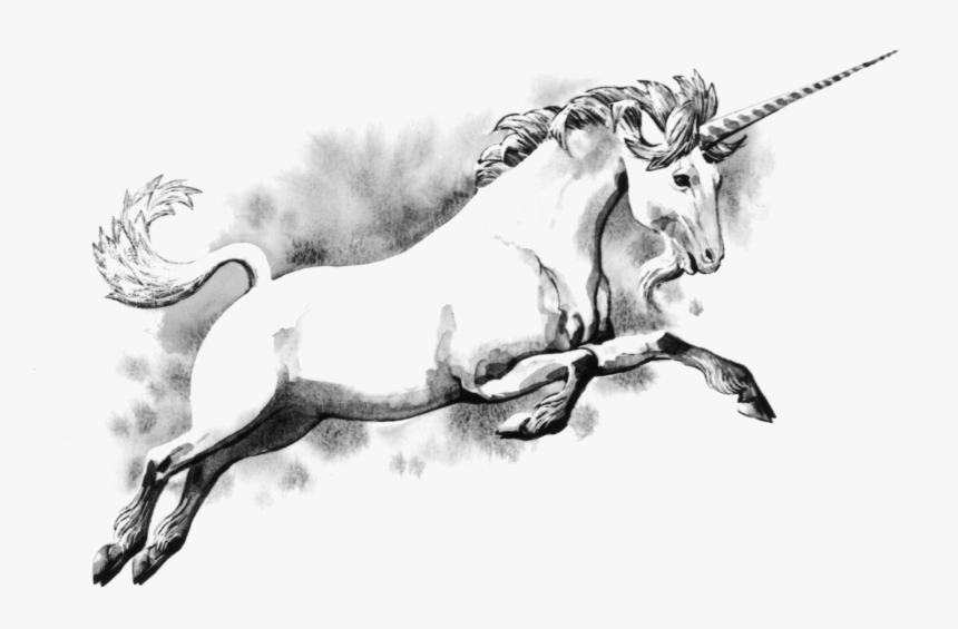Free Download Unicorn Png Images - Do Unicorns Have Horns, Transparent Png