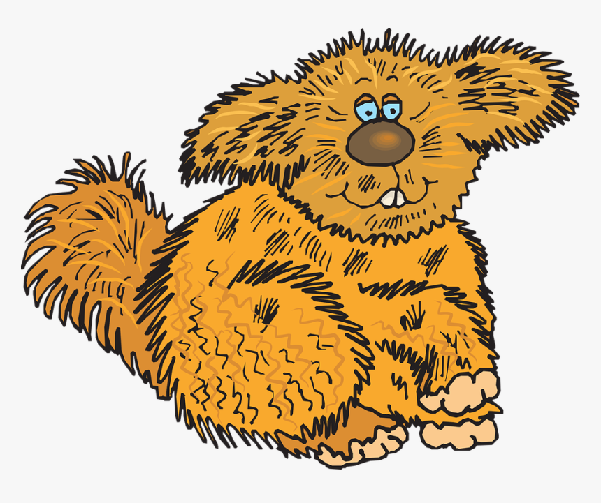 Hair, Animal, Creature, Fuzzy, Fur, HD Png Download