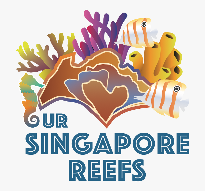 Our Singapore Reefs, HD Png Download
