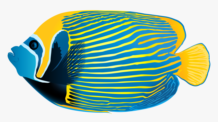 Underwater Image Library, HD Png Download