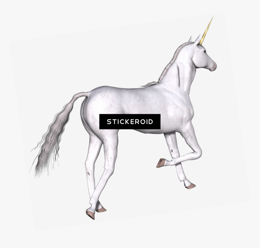 Full White Unicorn Right Leg Up - Unicornio Real Png, Transparent Png