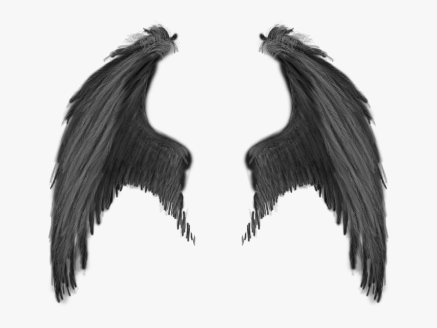Wings Png - Devil Wings Png, Transparent Png
