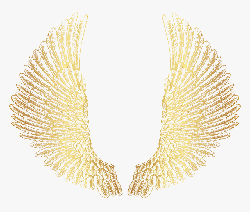 Wingspng, Transparent Png
