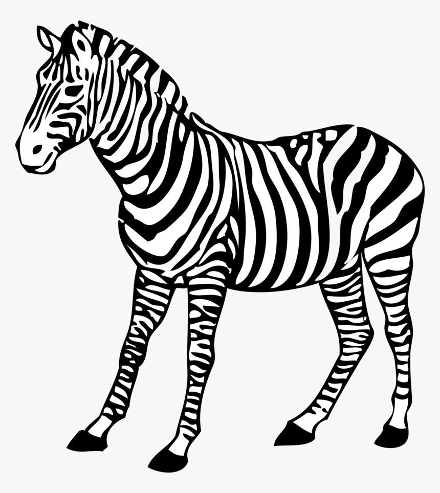 Zebra Clipart Black And White, HD Png Download