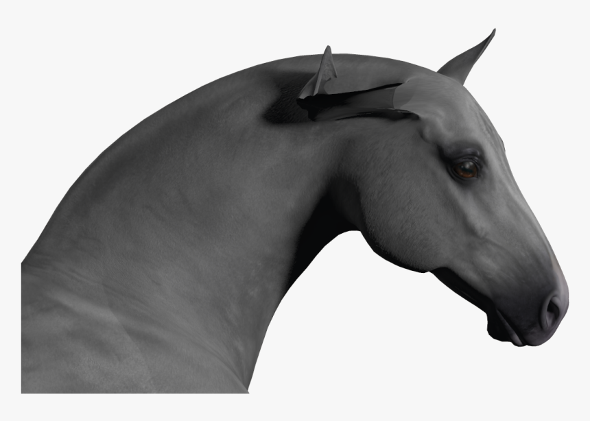 Horse Ears Png - Stallion, Transparent Png