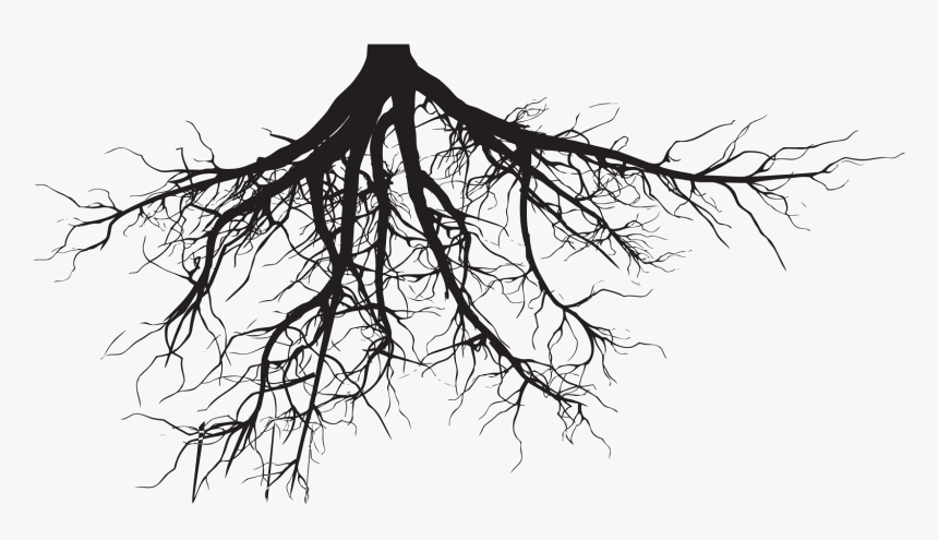 Tree Roots Silhouette Png, Transparent Png