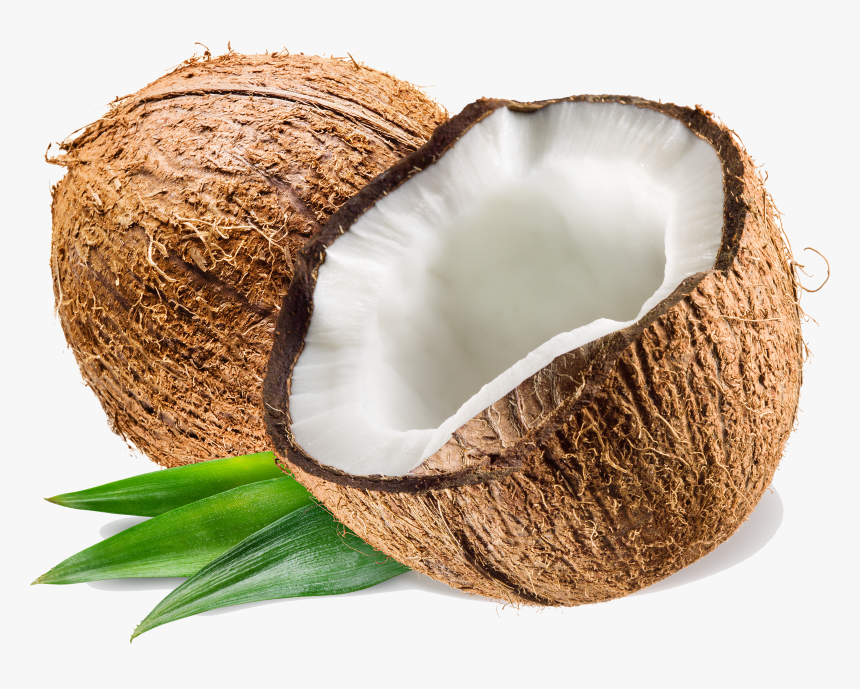 Coconut Pluspng, Transparent Png