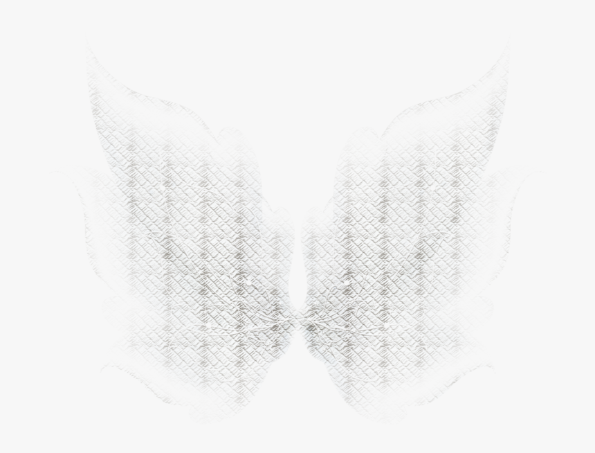 Fairy Wings Png Photo - Macro Photography, Transparent Png