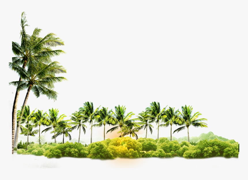 Arecaceae Coconut Tree Icon Free Photo Png Clipart - Coconut Tree Images Png, Transparent Png